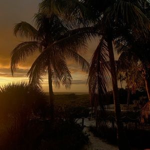 Meet your Posher, Kaija